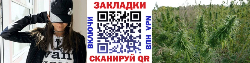 Где можно купить наркотики Шиханы Марихуана  Амфетамин  Cocaine  СОЛЬ  LSD-25  Мефедрон  ГАШ 