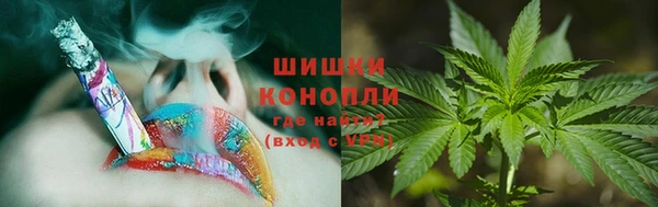 гидропоника Богданович