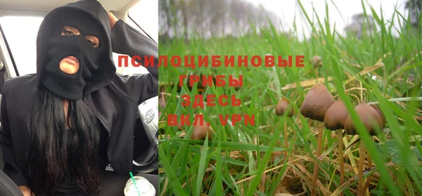 гидропоника Богданович