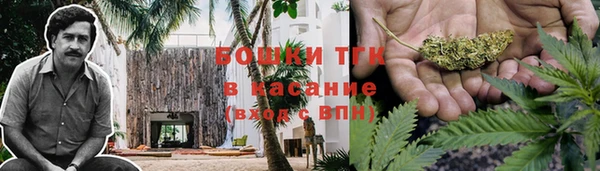 гидропоника Богданович