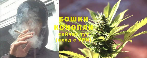 гидропоника Богданович